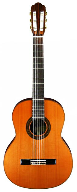 ARIA アリア クラシックギター A-50C-63 セダー単板トップ 【ケース付き】【送料無料】【smtb-ms】