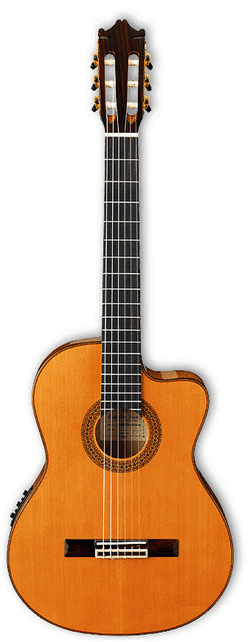 Ibanez アイバニーズ エレクトリック・ガットギター GA40SFCE Amber