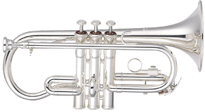 YAMAHA ޥ ͥåȥƥ塼ǥȥǥ YCR-2610SII