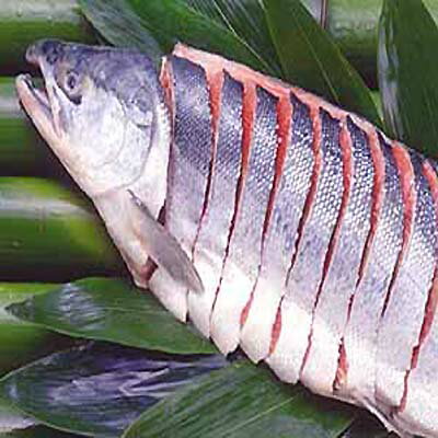 【送料無料】2011年楽天市場のお歳暮ギフトで1番売れた天然紅鮭世界で0.2％しか獲れない送料無料 プレミア天然紅鮭【3キロ】前後【北海道】【年越し特集2012】