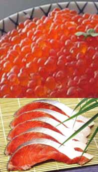 ܂͎āIs[^[oґZbgyyΉ_kCzyyMt_̂zykCYzysmtb-TKzyhV̓W2010zyw`_z