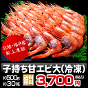 福井県産子持ち甘エビ大約500g（約30尾）⇒3,700円【送料無料】【楽ギフ_のし】