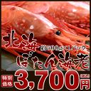 ボタンエビ約500g×1パック(約12尾)⇒3,700円(北海産 ぼたんえび ぼたん海老)