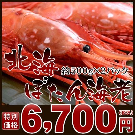 ボタンエビ約1kg(500g×2パック)⇒6,700円(北海産 ぼたんえび ぼたん海老)【楽ギフ_のし】食べ応えのある大きさのボタンエビは、程よい甘さ、弾力、後味！一度食べたら忘れられない絶品ぼたん海老♪