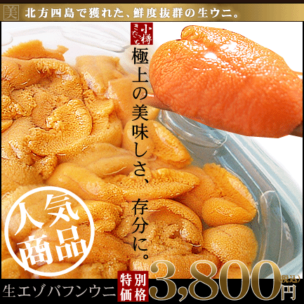 生エゾバフンウニ約200g（塩水漬け）約100g×2パック ⇒3,800円