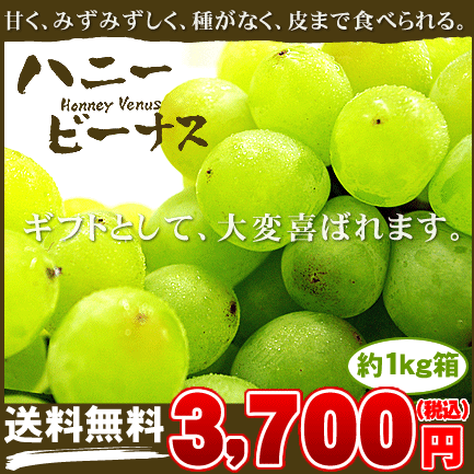 ハニービーナス 約1kg箱⇒3,700円【送料無料】【お中元特集2012】【お取り寄せグルメギフト】【楽ギフ_のし】【マスカット】(タネなし 宮崎県産)天然のビタミン「ポリフェノール」がたっぷり含まれた体に優しいブドウです♪種なしだから美味しくたべられます♪