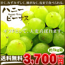 ハニービーナス 約1kg箱⇒3,700円【送料無料】【お中元特集2012】【お取り寄せグルメギフト】【マスカット】(タネなし 宮崎県産)