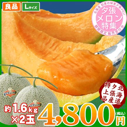 高級夕張メロン≪良品≫約1.6kg×2玉⇒4,800円【先行予約●夕張農協共撰●お中元特集2012】【メロン 北海道産】