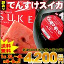 訳ありでんすけスイカ1玉　3L〜4L（約8〜9kg前後）⇒4,200円【送料無料●お中元特集2012】