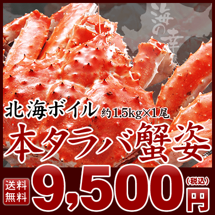 北海ボイル本タラバ蟹姿約1.5kg×1尾⇒9,500円【送料無料】【楽ギフ_のし】