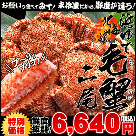 浜ゆで毛蟹約800g（約400g×2尾）(毛ガニ けがに 毛がに)