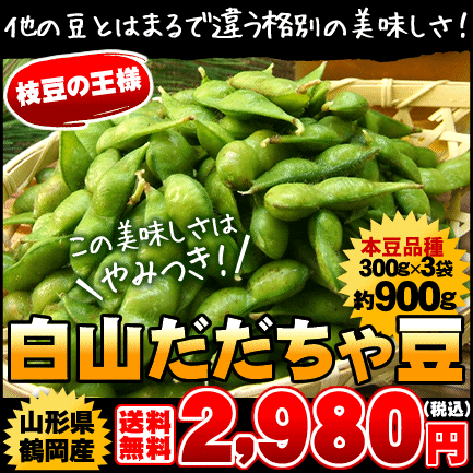 山形県鶴岡産白山だだちゃ豆　約300g×3袋（本豆品種）⇒2,980円【送料無料】テレビで紹介されました★