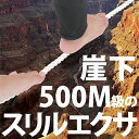 体幹トレーニング 器具自宅で簡単「本格綱渡りエクササイズ」スリルdeスリム【送料無料】【体幹トレーニング バランス ダイエット ロコモ 綱渡り 罰ゲーム マット エクササイズ 筋トレ 太もも PROIDEA ドリーム dream】宅急便