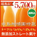【ギフトに最適】ネーブル(ネーブル俺ん家ジュース)・完熟みかん(おいしい太郎くん)・ぽんかん(がんちゃんジュース)「田島柑橘園」謹製、究極のこだわり柑橘果汁3本セット 無添加 ストレート果汁 - おとどけ