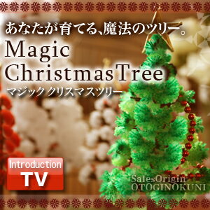 マジックツリー シリーズ『マジッククリスマスツリー』12時間で育つ不思議なクリスマスツリーマジッククリスマスツリーシリーズ