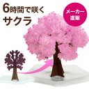 【メール便】マジック桜ミニ Magic桜