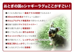 シャギーラグマット