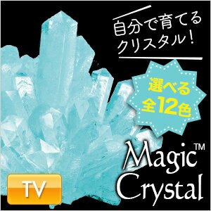 マジッククリスタル 10日で育つ不思議なクリスタル　Magic Crystal【HLS_DU】[05P123Aug12]
