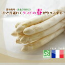 BIO ホワイトアスパラガス フランス ランド産 約500g