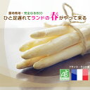 BIO ホワイトアスパラガス フランス ランド産 約500g 【木曜日発送】
