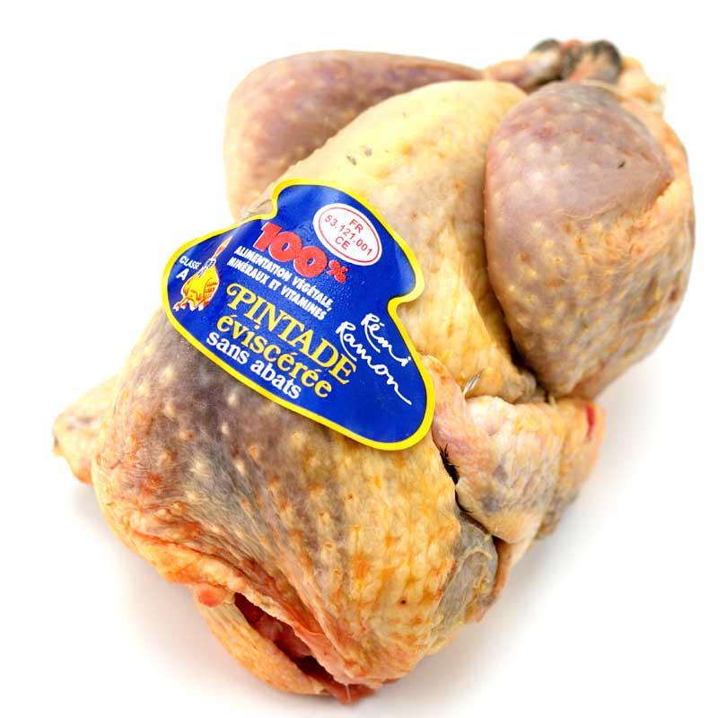 【フレッシュ家禽】フランス産パンタード丸鳥　　約1.0Kg〜2.0Kg3.460円/Kg不定貫フランス産パンタード　丸鳥