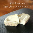 白カビ チーズ カザティカ ディ ブファラ 約80g 3~5週間熟成 イタリア産 毎週水・金曜日発送