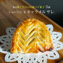冷凍パイ菓子 ショーソン オ キャラメル サレ 100g 5個 キャラメルクリームのパイ