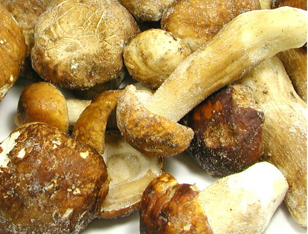 フンギポルチーニ　ホール1級 ITALY FUNGHI PORCINI 冷凍　1Kg