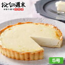 エントリー&購入で200ポイント!送料無料 チーズアントルメ5号