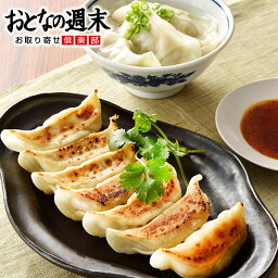 餃子専門店 香蘭 餃子48個（24個×2） 送料無料 宇都宮 餃子 wtgift