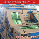 長野県佐久穂産白菜1ケース【4玉】【白菜】【キムチ】【おつけもの慶】