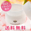 【ポイント10倍 送料無料】 Grace & Lucere ...