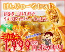 「ぼんじゅーるセット」。送料込1,999円ポッキリ！パリッパリ！新商品「春巻き」に、うす皮生餃子、黒豚生餃子も！タイムセール！2セットご注文で、もれなく！「黒豚生餃子1パック」プレゼント♪3セットご注文では、プレゼント付き！