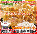 ［餃子の王国］【送料込】工場直売生餃子　72個！（24個×3...