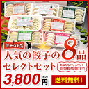 【送料無料】人気の餃子の8品セレクトセット（お中元・ギフト・...