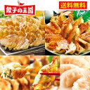 餃子の王国＿【送料無料】OUKOKU限定セット！選べる餃子付き黒豚生餃子に工場直売生餃