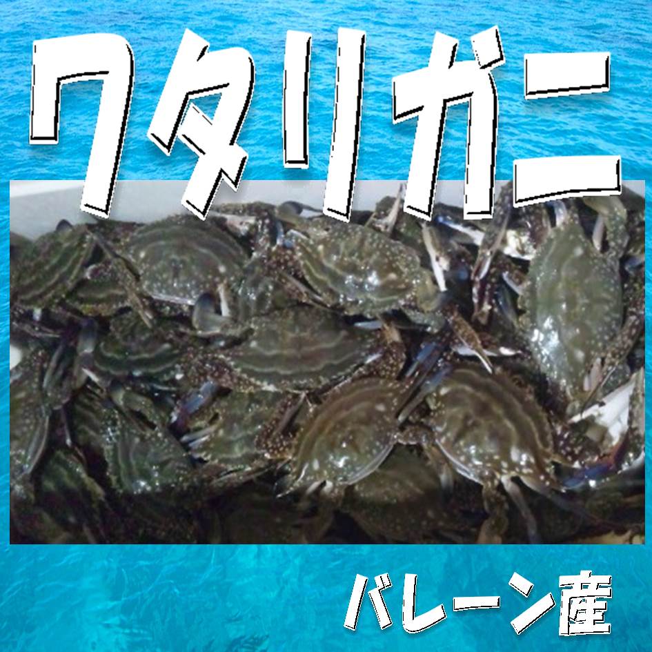 ★バーレーン産ワタリガニ5kg★心身に必要な栄養素がいっぱい！　 御歳暮 お歳暮 お中元 景品 御中元 お年賀 父の日 母の日 敬老の日 ギフト 贈り物 暑中見舞い 残暑見舞い 内祝 還暦祝 百寿 古希 喜寿 傘寿 米寿 卒寿 白寿 誕生日祝 結婚祝 出産祝 新築祝 お正月 茶寿