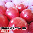 【予約商品】★山梨県産 高級プラム 貴陽　約2.4kg(17〜23玉)★「記憶に残る味」楽天 人気ナンバー1 に挑戦！ 税込・送料込み(一部地域を除く)発送は7月下旬頃になります。 桃 ケルシー 暑中見舞い 大玉 ゼリー 福島 残暑見舞い