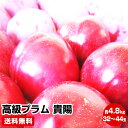 【ご予約商品】★山梨県産 高級プラム 貴陽 約4.8kg(32~44玉)★「記憶に残る味」楽天 人気ナンバー1 に挑戦! 税込・送料込み(一部地域を除く)発送は7月下旬頃になります。 桃 ケルシー 暑中見舞い 大玉 ゼリー 福島 残暑見舞い