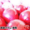 【ご予約商品】★山梨県産 高級プラム 貴陽 約800g(4~6玉)★「記憶に残る味」楽天 人気ナンバー1 に挑戦! 税込・送料込み(一部地域を除く)発送は7月下旬頃になります。 桃 ケルシー 暑中見舞い 大玉 ゼリー 福島 残暑見舞い