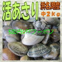 ★浜名湖名産 高級 活あさり(中)メガ盛り2kg★送料無料 ...