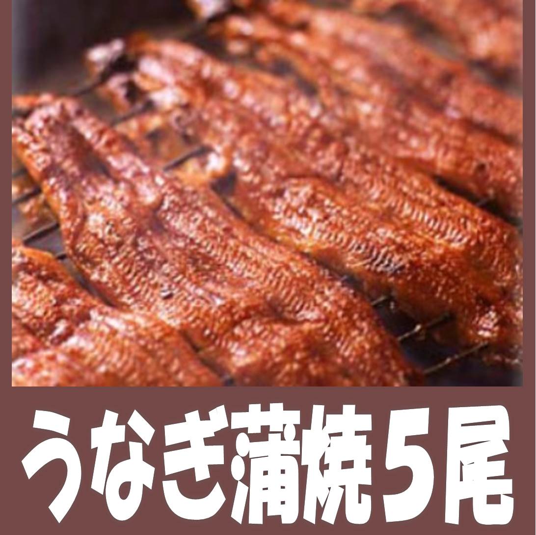 ふんわ〜り旨い うなぎ蒲焼5尾 豊富なタンパク質やビタミンAをはじめ、多くの栄養素を含んだ食品です ...:ounamibussann:10000228