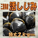★三重県産活しじみ(特大)2kg★ 干物セット 干物 お中...