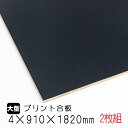 カラープリントボード 黒 (A品) 2枚組 【送料無料】 カラープリント プリントボード 木工工作 DIY ラワン ベニヤ 合板 ベニア ベニヤ合板 ベニヤ板 板 DIY 木材 家具材 壁 壁材