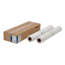 【新品/取寄品/代引不可】普通紙ロール(約515mm幅/50m/2本) EPPP64B2