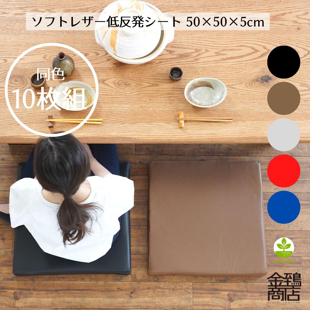 【新生活 ポイント5倍＆クーポン】低反発座布団 50x50x5cm 10枚セット 合皮 PVCレザー 大きめ クッション コラム リビング 中身セット 居酒屋 座敷 業務用 まとめ買い お手入れ簡単 無地