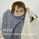 【★再入荷★】6重織り【綿】ガーゼケット【イカリ】70x100ベビーサイズbkt4001sベビーブランケット【日本製】 ひざ掛けギフト 出産祝い 男の子 女の子 誕生日【楽ギフ_メッセ】【RCP】10P01Nov14