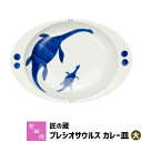 【クーポン配布中】【取寄品】 有田焼 匠の蔵 極上のカレー皿 プレシオサウルス(大)カレーライス用 カレー用 スープカレー 使いやすい すくいやすい おしゃれ 楕円皿 持ちやすい お皿 高級感 普段使い 電子レンジ対応 食洗機対応 ギフト プレゼント お祝い 日本製