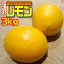 あす楽 無農薬&ノーワックス わけありレモン3 kg 熊本県...