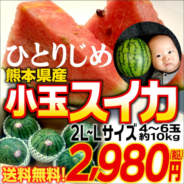 熊本県産　小玉スイカ【ひとりじめ】　2L〜Lサイズ　4〜6玉入り【RCPmara1207】送料無料！とても甘い小玉スイカ。ギフト・のし対応！贈答用にどうぞ。